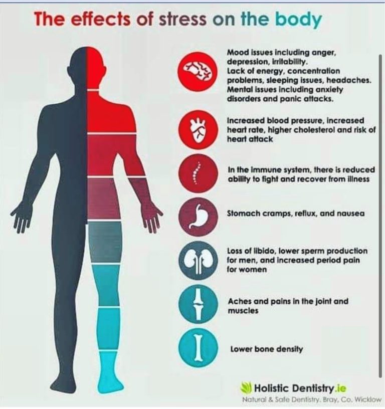 how-different-types-of-stress-cause-different-types-of-damage-i-am